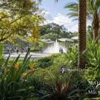 Giỏ hàng Palm River ngoại giao. Giá chỉ 168 triệu/m2 đã VAT và PBT. Chiết khấu lên đến 16,5% - Ảnh thu nhỏ 18