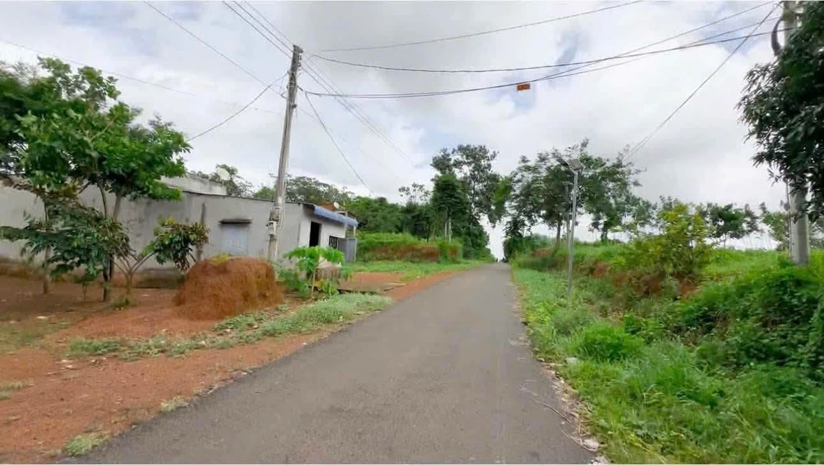 Bán đất nguyên mãnh 4800 m² xã Hưng Phước - Ảnh thu nhỏ 3