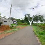 Bán đất nguyên mãnh 4800 m² xã Hưng Phước - Ảnh thu nhỏ 3