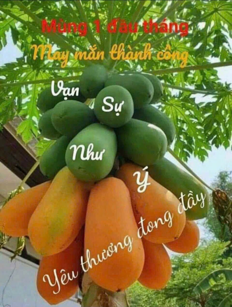 Bán nhà Nơ Trang Long, Vũng Tàu, 131 m², 3 phòng, 5.2 tỷ - Ảnh thu nhỏ 2