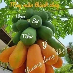 Bán nhà Nơ Trang Long, Vũng Tàu, 131 m², 3 phòng, 5.2 tỷ - Ảnh thu nhỏ 2