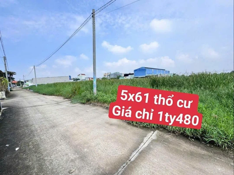 Bán đất thổ cư 5x61m, sổ hồng riêng, ấp 4 Đức Hòa Đông, giá 1,48 tỷ