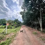 Bán đất An Điền cũ 63m2, giá 1 tỷ 1 - Ảnh thu nhỏ 2