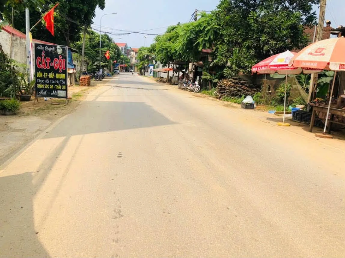 Bán đất kinh doanh Phú Mãn 116m² mặt đường trục chính - Ảnh thu nhỏ 2