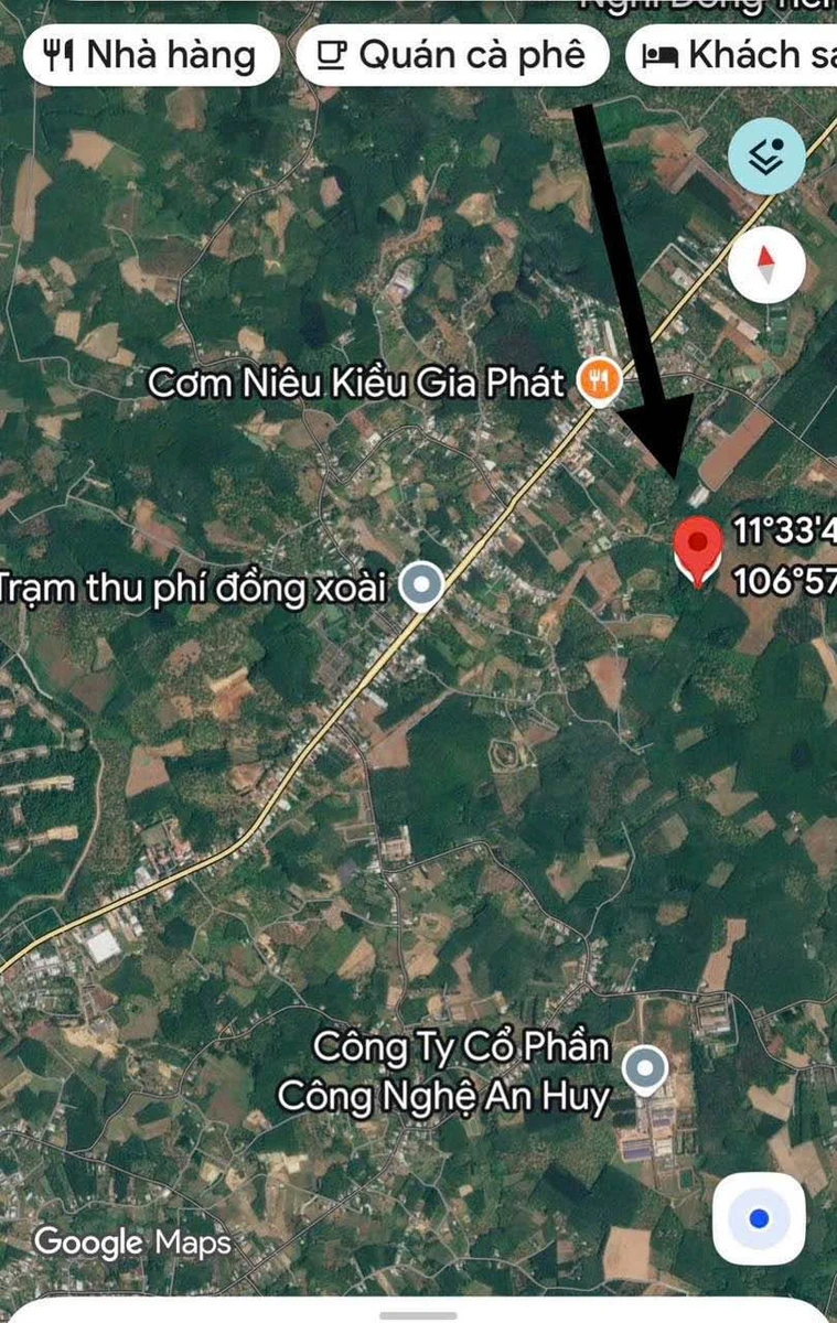 Bán 2,3ha đất trồng điều Đồng Tiến, Đồng Nai, 3,9 tỷ - Ảnh 1