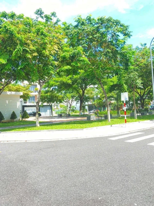 Bán căn hộ dịch vụ 5 tầng BTCT 54m² đường Nguyễn Văn Đậu, Bình Thạnh giá 8.5 tỷ giung