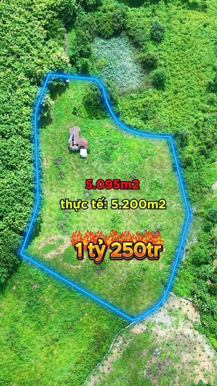 Bán đất 5,1 sào ngay Cầu 14 Sêrêpốk giá 1 tỷ - Ảnh 1