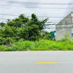 Bán đất nền 250m2 Tân An Hội Củ Chi mặt tiền Nguyễn Văn Khạ - Ảnh thu nhỏ 3