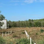 Bán đất 1500m² xã Dầu Tiếng TP HCM 1 tỷ - Ảnh thu nhỏ 1