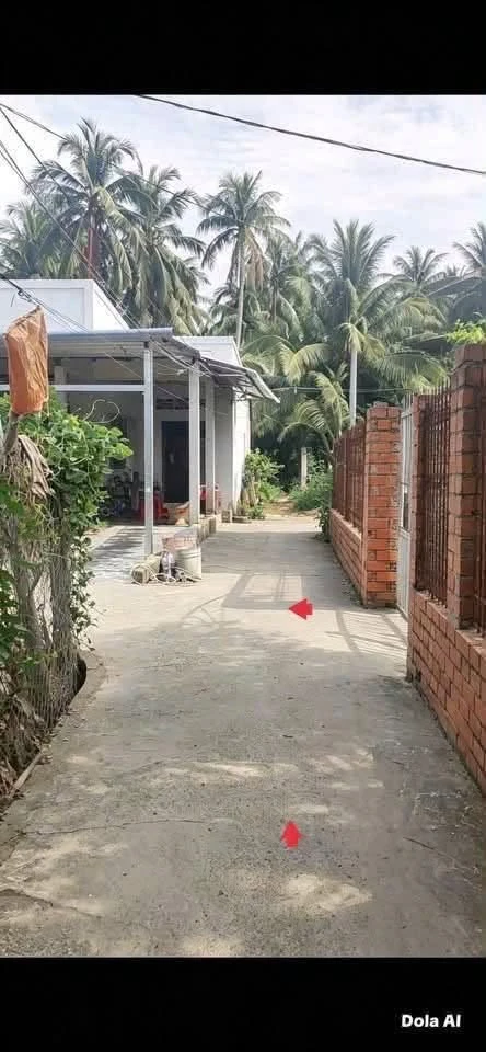 Bán đất Mỹ Thạnh An Bến Tre 1.226m² giá 1 tỷ 150 triệu - Ảnh thu nhỏ 5