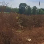 Bán 2 lô đất mặt tiền kênh Tây, Châu Thành, 50m² - Ảnh thu nhỏ 3