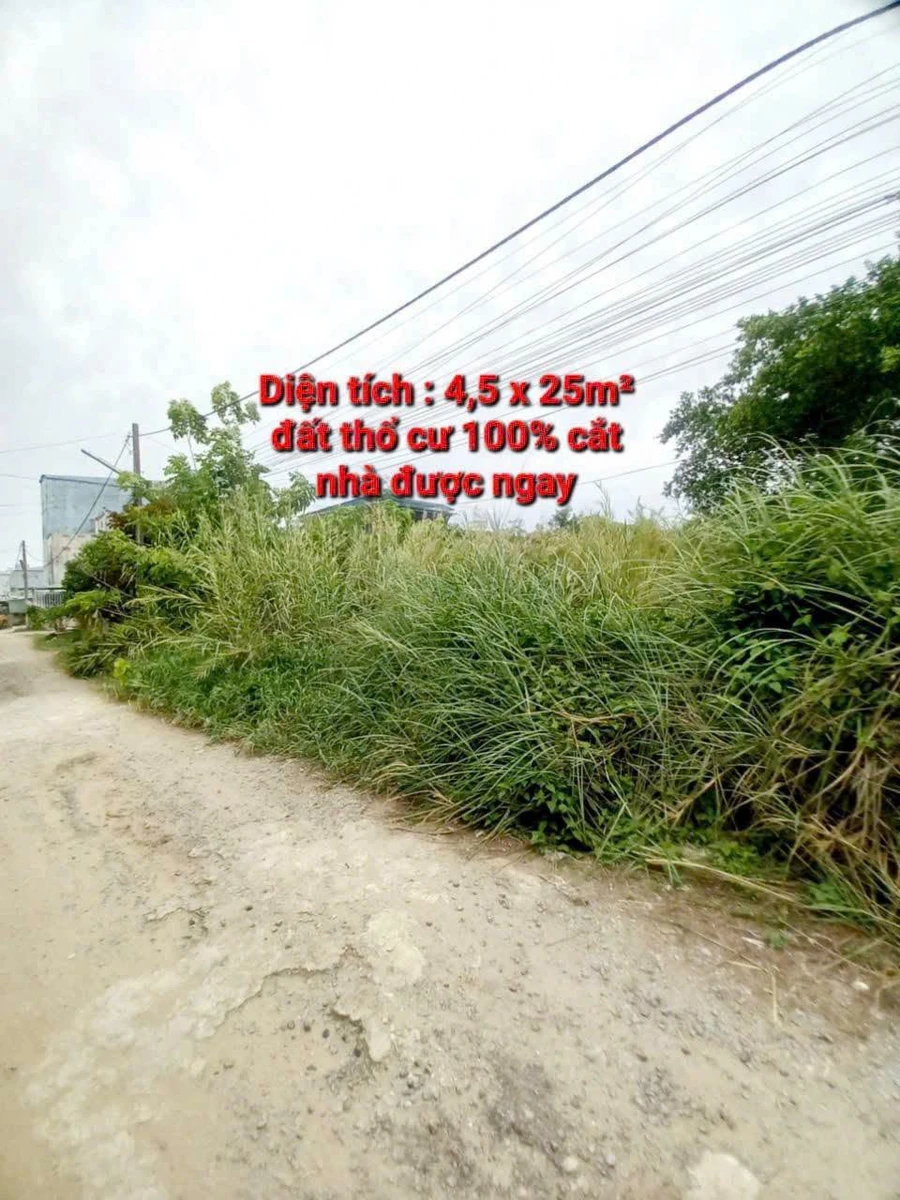 Bán nền đất Võ Trường Toản, Rạch Giá 112.5m² giá 950 triệu - Ảnh thu nhỏ 2