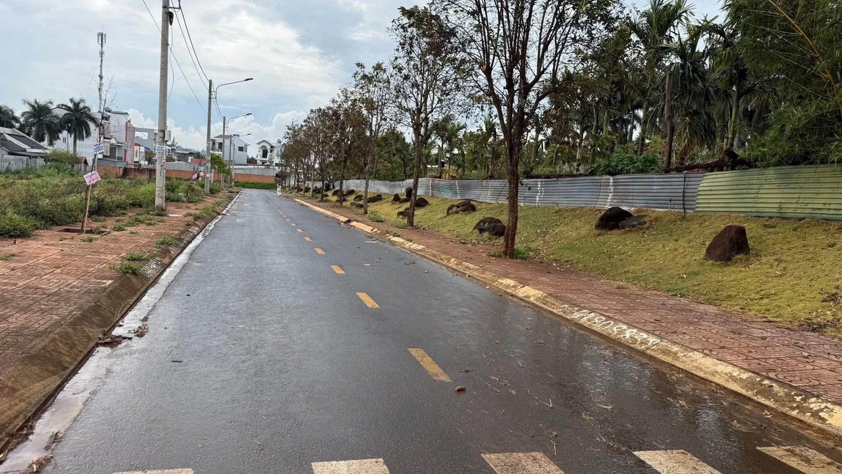 Bán đất mặt tiền Văn Tiến Dũng Buôn Ma Thuột, 240m² - Ảnh thu nhỏ 4