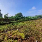 Bán đất xây trọ nhà ở Phước Đức A, 610m², 2.3 tỷ - Ảnh thu nhỏ 4