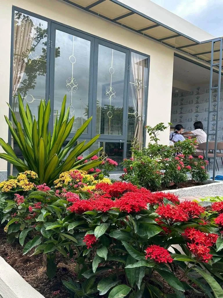 Bán nhà vườn 450m2 đất thổ cư Tây Ninh, gần chợ Tầm Vu - Ảnh thu nhỏ 2