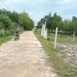 Bán lô đất Khánh Bình 177m2 full thổ cư 190 triệu - Ảnh thu nhỏ 3