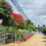 Bán đất F0 Trung tâm Tân Hội 16x26m chỉ 990 triệu - Ảnh thu nhỏ 4
