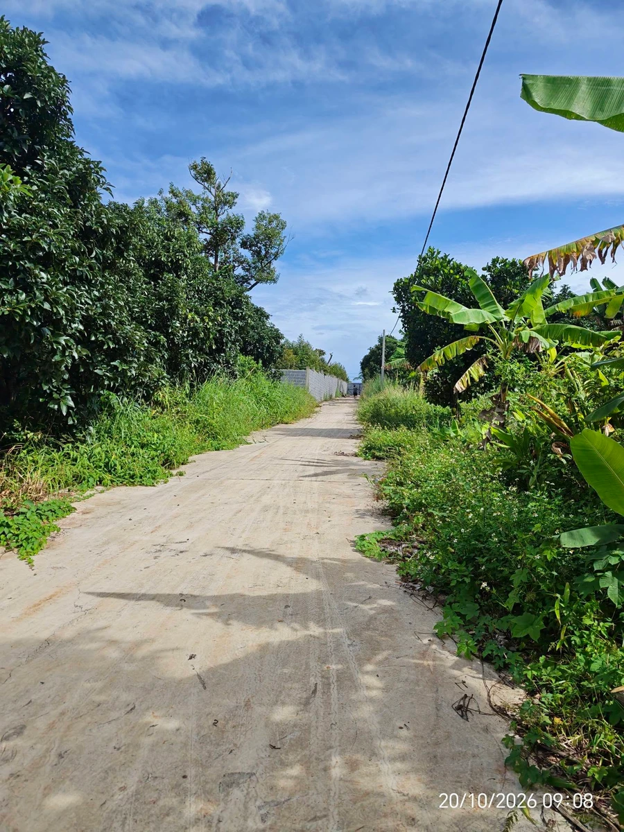 Bán đất 1000m2 mặt tiền 38m Đỗ Xuân Hợp, giá 1 tỷ 5 - Ảnh thu nhỏ 3