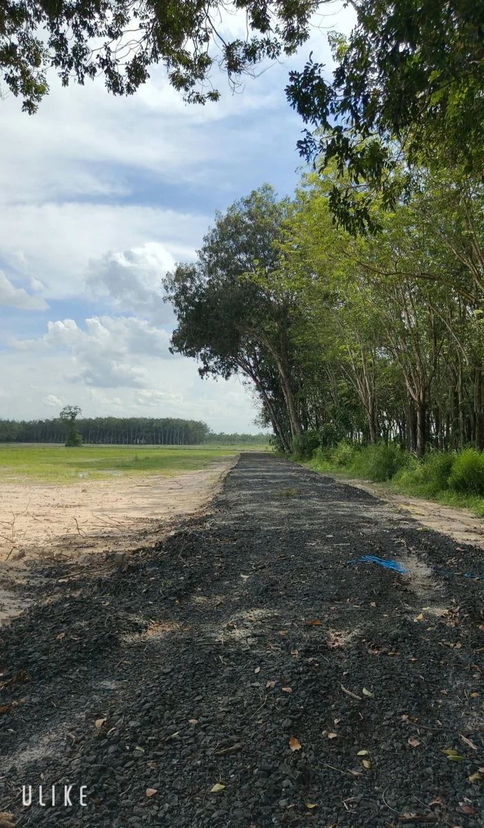 Bán đất vườn 1000m² Phường Bình Minh Tây Ninh 269 triệu - Ảnh 1