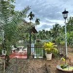 Bán nhà vườn Buôn Ma Thuột 1012m² gần chợ Đạt Lý 3.65 tỷ - Ảnh thu nhỏ 4