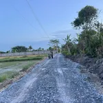 Bán đất 5x21.7m, 108.5m² giá 620 triệu Bình Chánh - Ảnh thu nhỏ 3