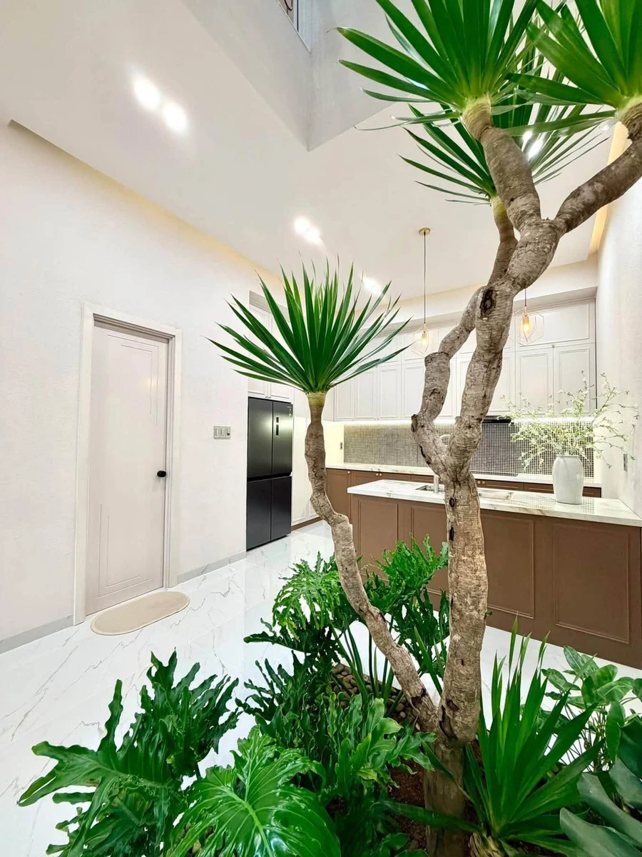 Nhà 4 phòng ngủ, 256m2 mặt tiền Xuân Diệu, 8 tỷ 390 - Ảnh thu nhỏ 5