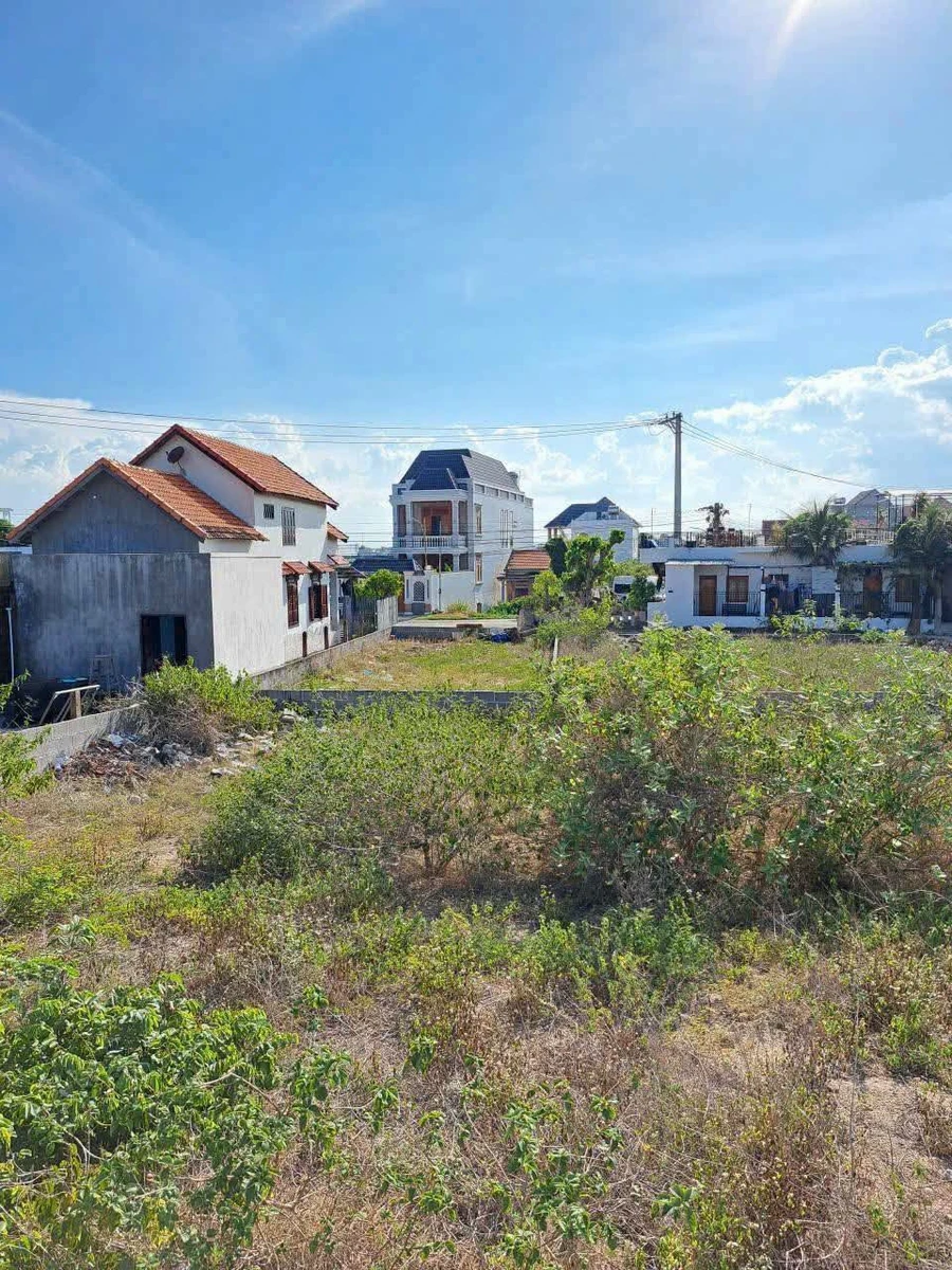 Bán hai lô đất biển Dốc Lết Ninh Hải, 144m2/lô, 28 triệu/m2 - Ảnh thu nhỏ 4