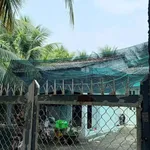 Bán đất Phường Phú Tân Bến Tre 300m² 750 triệu - Ảnh thu nhỏ 2