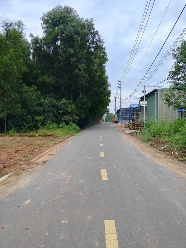 Bán đất 1200m2 (20x60m) Tân Định, Bến Cát, Bình Dương giá 7,8 tỷ