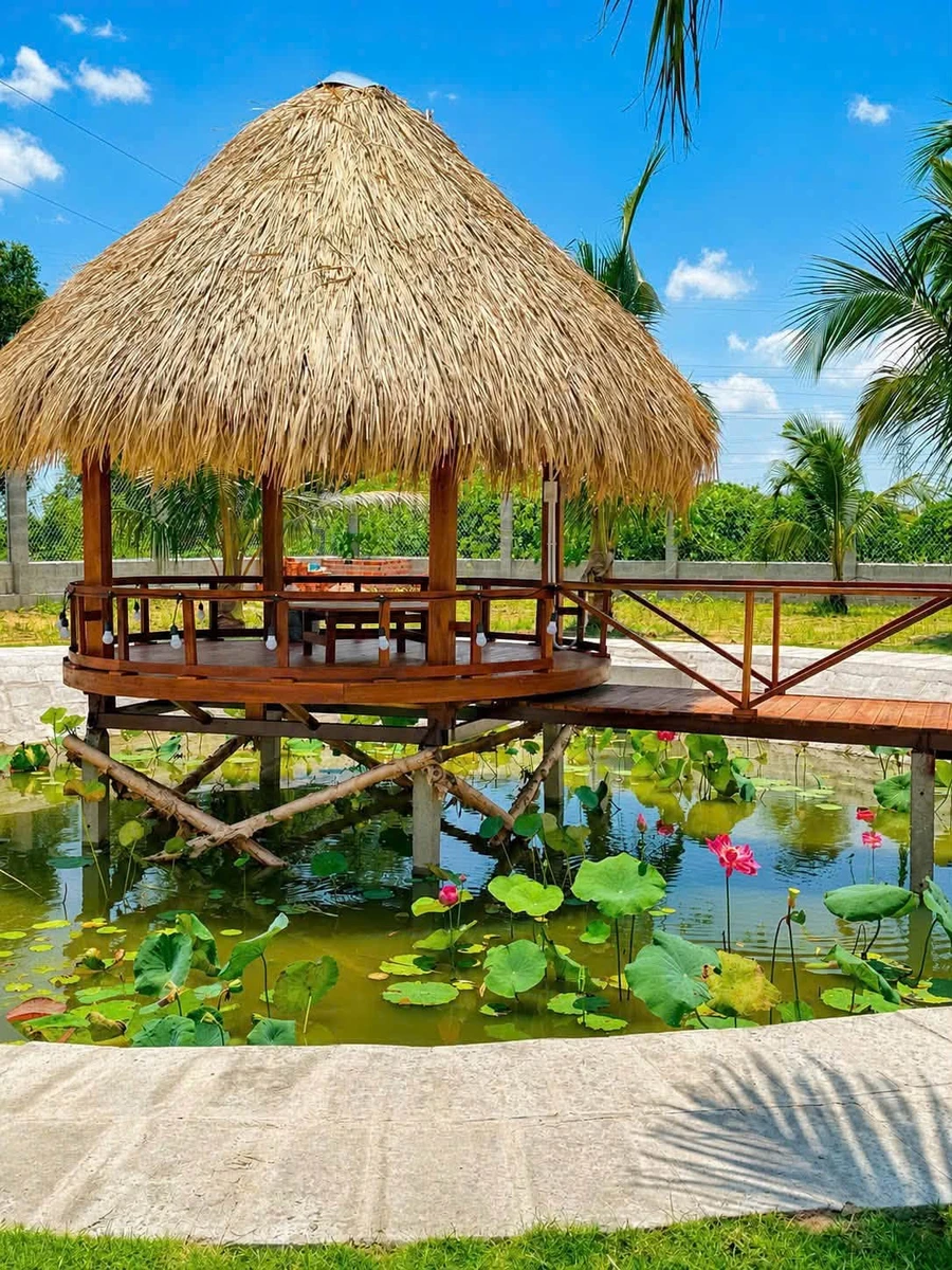 Bán nhà vườn 1605m2 Xã Hàm Liêm, Lâm Đồng, 1 tỷ 850 - Ảnh thu nhỏ 4