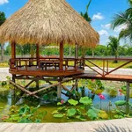 Bán nhà vườn 1605m2 Xã Hàm Liêm, Lâm Đồng, 1 tỷ 850 - Ảnh thu nhỏ 4