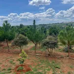 Bán đất 600m² Nam Ban Mê Linh cũ 1 tỷ 3 - Ảnh thu nhỏ 3