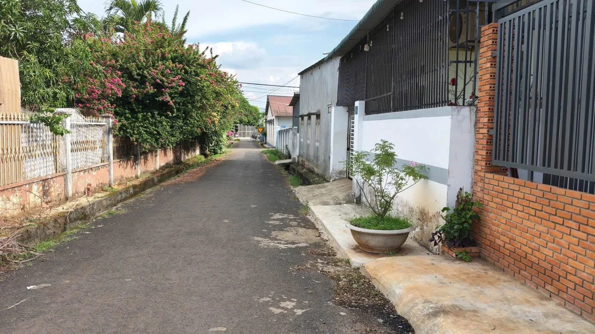 Nhà mặt tiền Đường 17A Đạt Lý 6x20m 3PN, 2 tỷ 350 - Ảnh 1