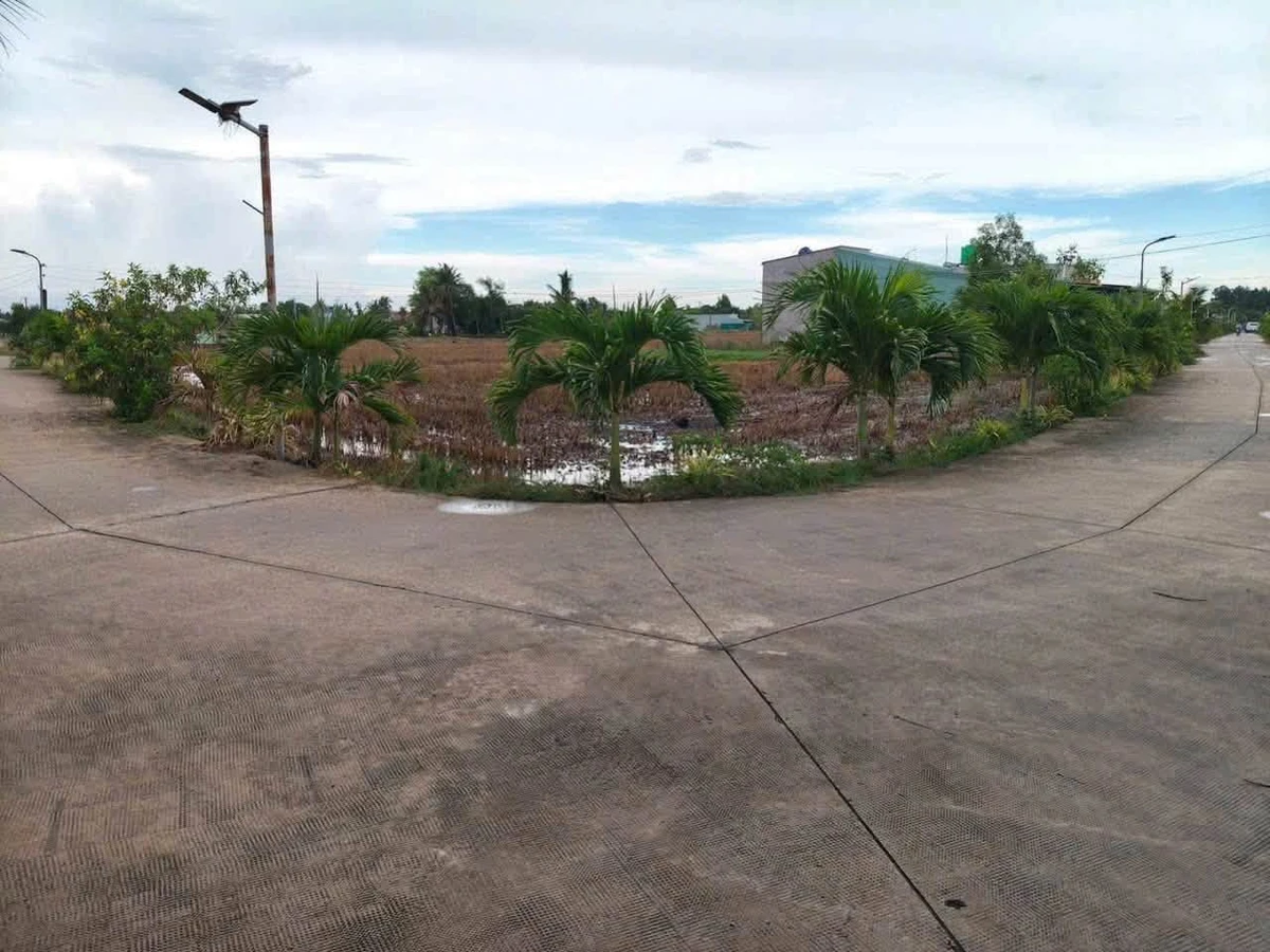 Bán đất lúa 2 mặt tiền 868m² Tân Trụ, Long An 1 tỷ 800 - Ảnh thu nhỏ 2