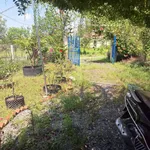 Bán nhà vườn 1000m² xã Long Thuận Tây Ninh - Ảnh thu nhỏ 4