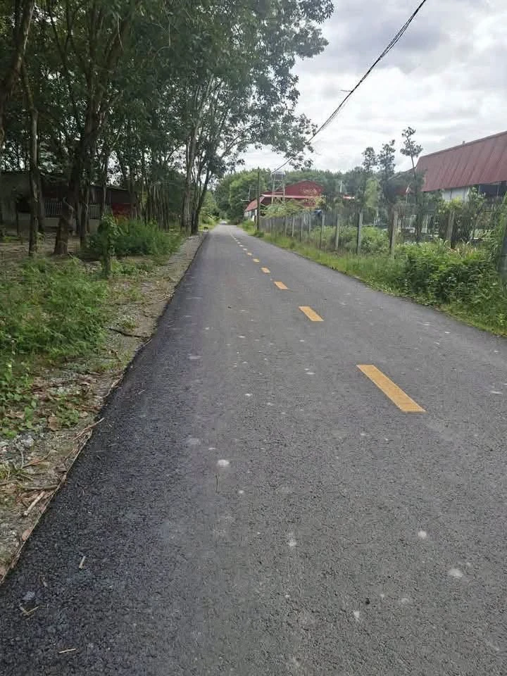 Bán đất 150m² Minh Long, Bình Chánh 3 tỷ - Ảnh thu nhỏ 2
