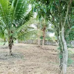 Bán 1000m2 đất ở Hàm Liêm, Bình Thuận, 550 triệu - Ảnh thu nhỏ 4