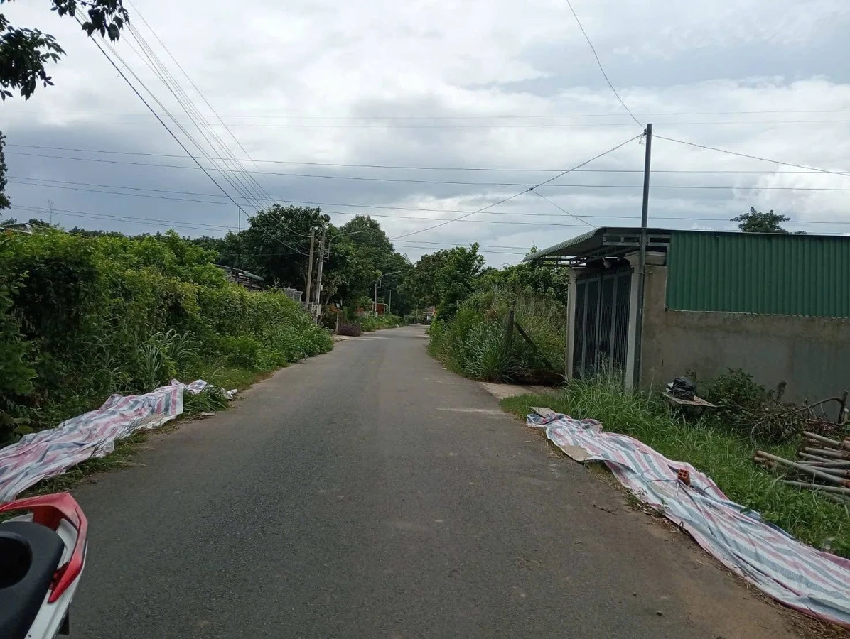 Bán đất Phú An, Bình Chánh, 1000m2, 5 tỷ - Ảnh thu nhỏ 2