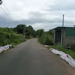 Bán đất Phú An, Bình Chánh, 1000m2, 5 tỷ - Ảnh thu nhỏ 2