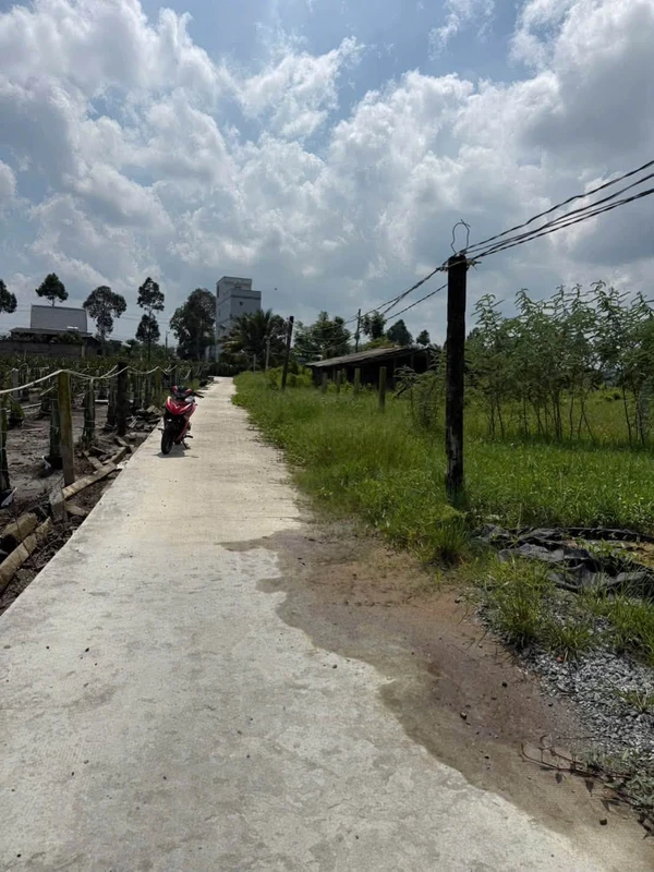 Bán đất 1100m2 có sẵn ao cá, đường ô tô, xã Tầm Vu, Tây Ninh
