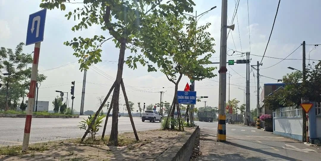 Bán đất Sóc Sơn 95m² giảm 1,35 tỷ, sổ sẵn sàng - Ảnh 1