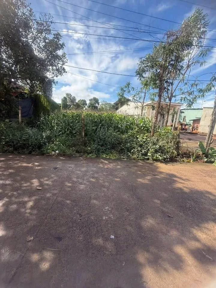 Bán đất thổ cư 285m² đường Nguyễn Thị Định, Bình Thạnh, 1 tỷ 550 triệu - Ảnh 1