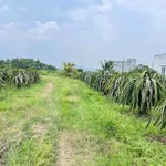 Bán lô đất vườn 7200m² thổ cư gần ngã tư Bảy Hải Hàm Liêm - Ảnh thu nhỏ 1