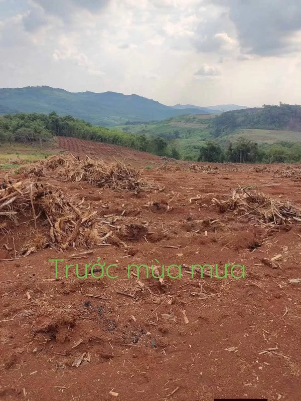 Bán đất nền 3ha Tuy Đức Đắk Nông, giá 1,6 tỷ