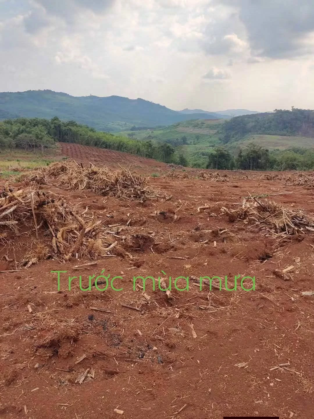 Bán đất nền 3ha Tuy Đức Đắk Nông, giá 1,6 tỷ - Ảnh 1