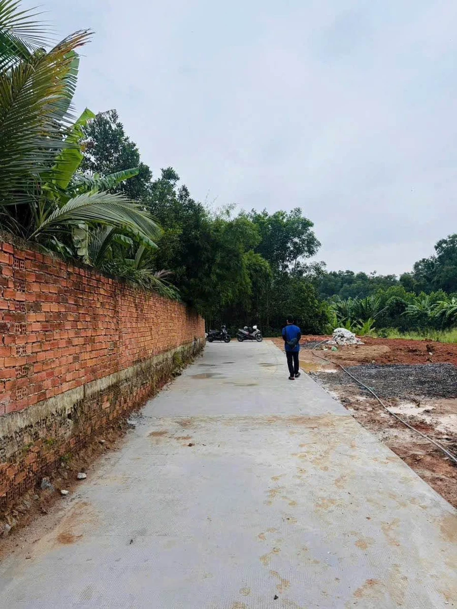 Bán đất Tân Triều 5x20m (100m²) gần Biên Hòa 800 triệu - Ảnh thu nhỏ 4