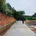 Bán đất Tân Triều 5x20m (100m²) gần Biên Hòa 800 triệu - Ảnh thu nhỏ 4