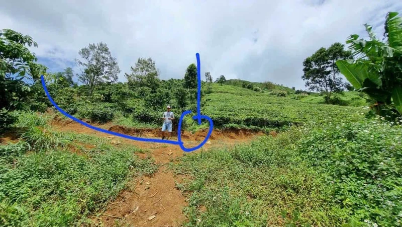 Bán đất trồng cà phê chè 6300m2, giá 1,32 tỷ