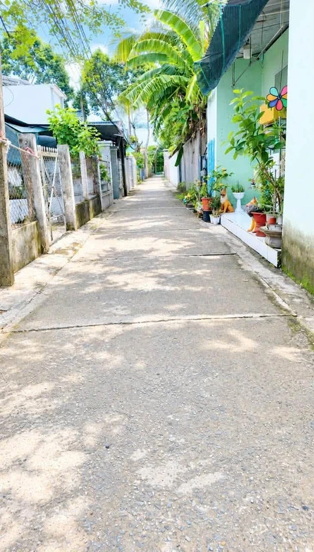 Bán đất nền Phú Hưng Phú Khương Bến Tre 147m²