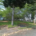 Bán 2 lô đất liền kề 4x20m đối diện công viên KDC Lợi Bình Nhơn, đường số 17, giá 1,1 tỷ/lô - Ảnh thu nhỏ 2